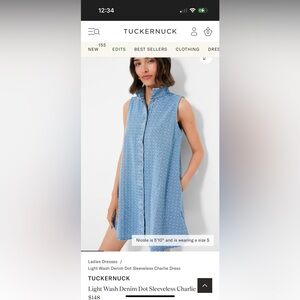 Tuckernuck Light Blue Sleeveless Dress in Chambray